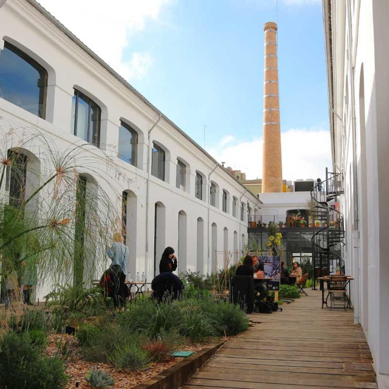 El Bosque del Archiduque, espacio verde donde se trabaja y se comparte, se ha convertido en un reconocible icono de Fàbrica Ramis.